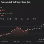 미국 주식시장에서 트럼프 미디어 기술 그룹(TMTG)의 주가가 밤사이 12% 이상 급등해 최근 하락세에서 반등했다. 시장 마감 후 시간외 거래에서 8% 상승 중 이다.