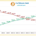 HODL15Capital