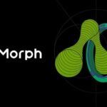 모포(Morph)