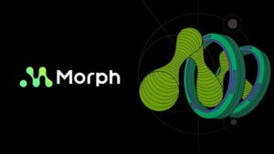 모포(Morph)