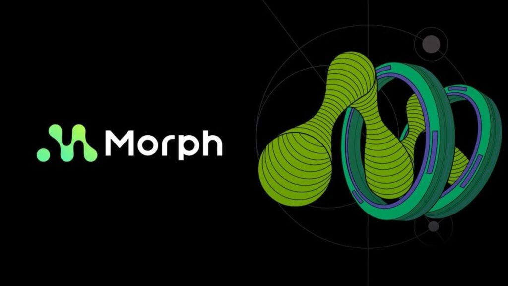 모포(Morph)