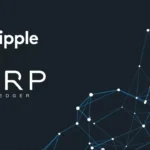 XRP 레저