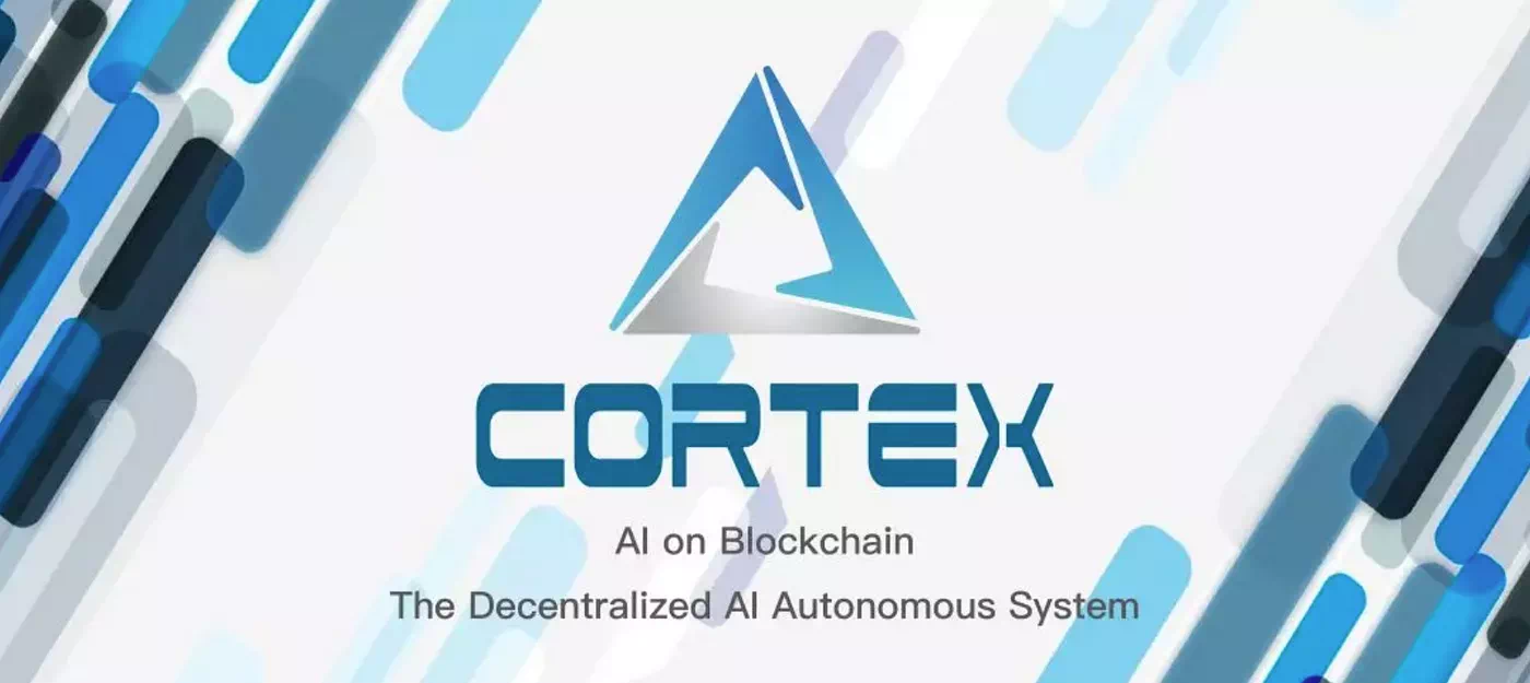 코르텍스 (Cortex)