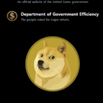 미국 정부 효율성 부서 "DOGE"(Department of Government Efficiency)