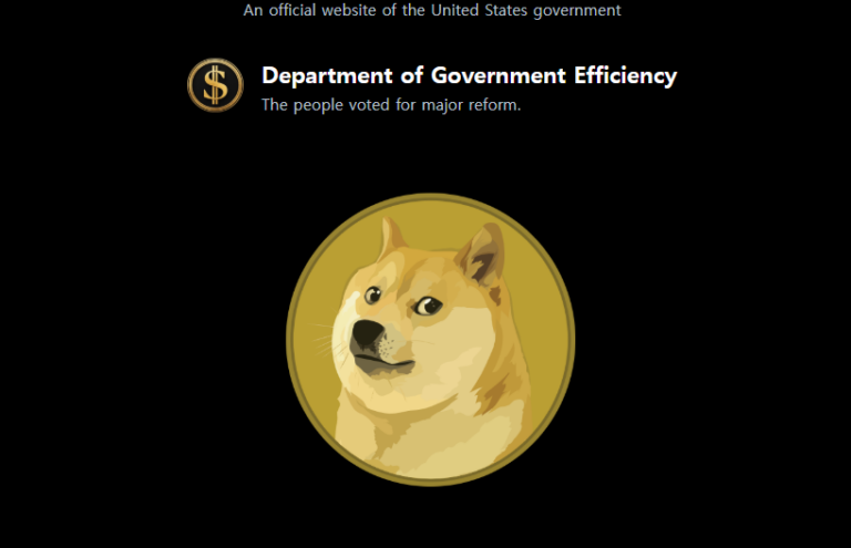미국 정부 효율성 부서 "DOGE"(Department of Government Efficiency)
