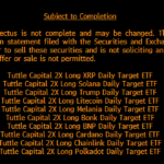 美 터틀캐피탈, 리플·솔라나·에이다·트럼프 코인 포함 10종 2배 레버리지 ETF 신청