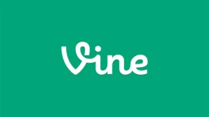 바인(Vine)