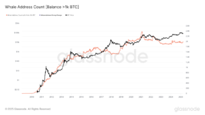 1000 BTC 이상 보유 주소(주황색) - Glassnode