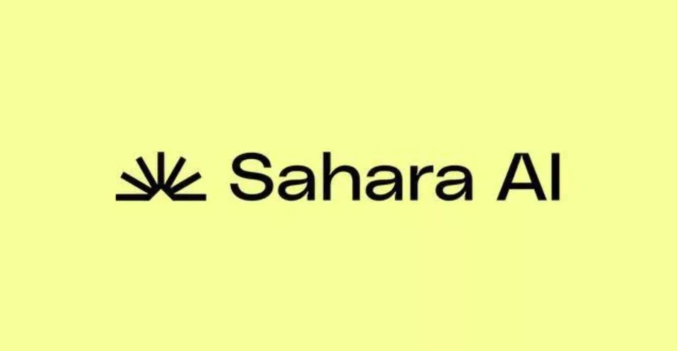 사하라 AI, SAHARA 코인 첫 공개판매…USD1 투자 비중 79% 1 SAHARA