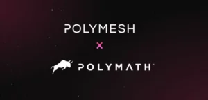 폴리매쉬(Polymesh)