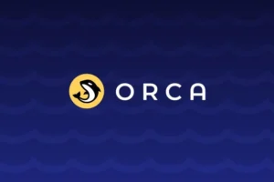 오르카(Orca)