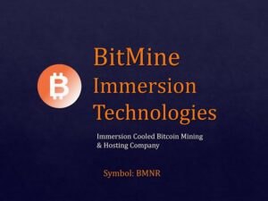 비트마인 이머전 테크놀로지스(BMNR)
