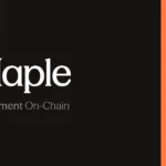 메이플 파이낸스(SYRUP)