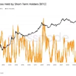 비트코인 단기 보유자